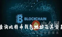 如何查询比特币钱包地址