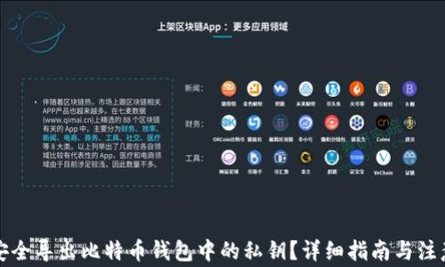 
如何安全导出比特币钱包中的私钥？详细指南与注意事项