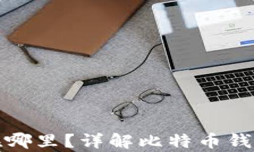 
比特币钱包文件地址在哪里？详解比特币钱包的存储方式与安全性