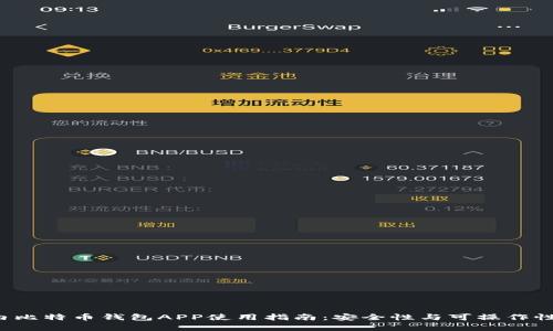  国内比特币钱包APP使用指南：安全性与可操作性分析