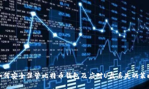 如何安全保管比特币钱包及应对U盘丢失的策略