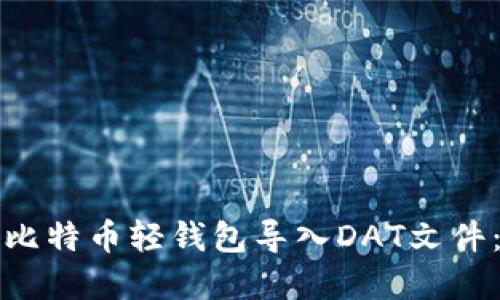 如何使用比特币轻钱包导入DAT文件：完整指南