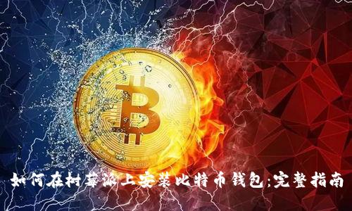 如何在树莓派上安装比特币钱包：完整指南