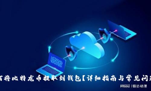 : 如何将比特龙币提取到钱包？详细指南与常见问题解析