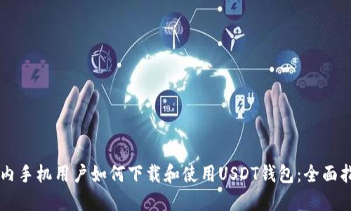 国内手机用户如何下载和使用USDT钱包：全面指南