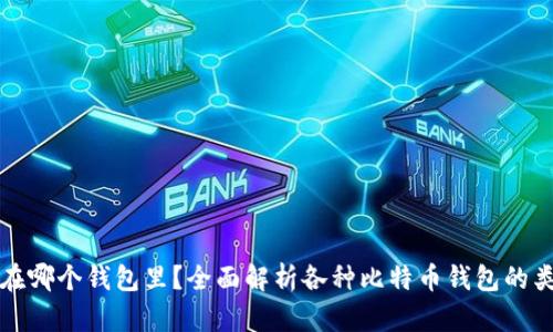 比特币存在哪个钱包里？全面解析各种比特币钱包的类型与优劣