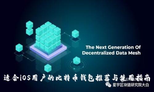 适合iOS用户的比特币钱包推荐与使用指南