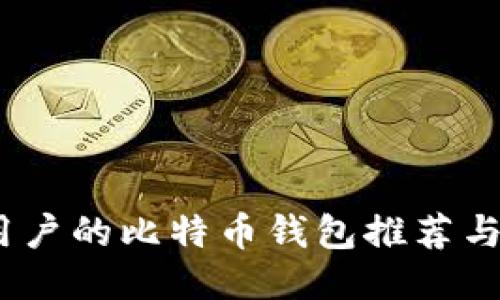 适合iOS用户的比特币钱包推荐与使用指南