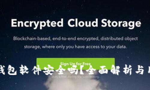 小狐狸钱包软件安全吗？全面解析与用户指南