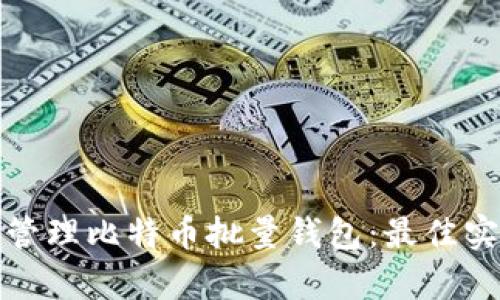 如何有效管理比特币批量钱包：最佳实践与策略