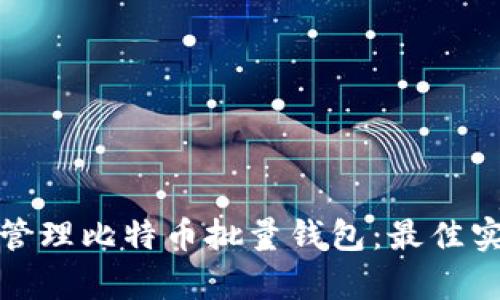 如何有效管理比特币批量钱包：最佳实践与策略