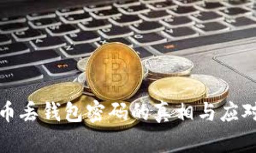 比特币丢钱包密码的真相与应对策略