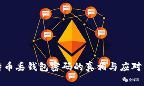 比特币丢钱包密码的真相与应对策略