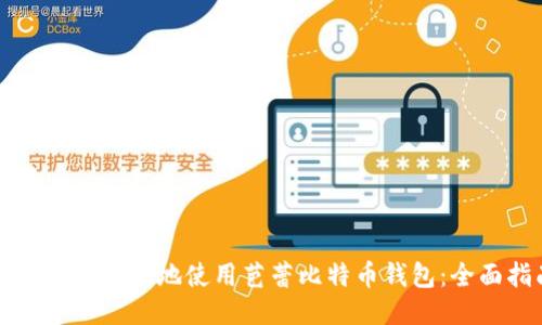 如何安全高效地使用芭蕾比特币钱包：全面指南