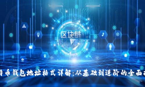 比特币钱包地址格式详解：从基础到进阶的全面指南
