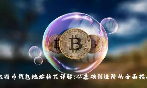 比特币钱包地址格式详解：从基础到进阶的全面指南