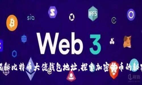 揭秘比特币大佬钱包地址，探索加密货币的秘密