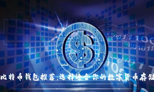最佳比特币钱包推荐：选择适合你的数字货币存储方案