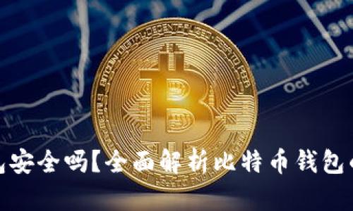 创建比特币钱包安全吗？全面解析比特币钱包的安全性与风险